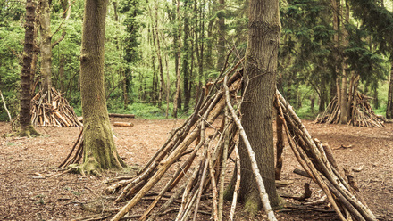 Forest School iStock-2156127527.jpg