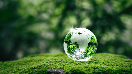 Sustainability - glass globe on moss.jpg